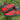 Madhësia 13 për burra - E zezë dhe e kuqe me porosi Air Force 1 - AF1 e pikturuar me dorë - Forcat e personalizuara
